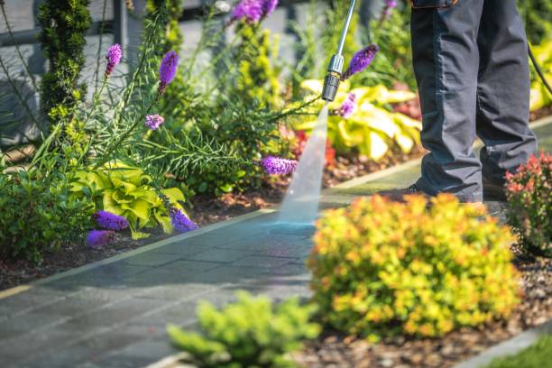 Best Spring Cleaning  in Edmonds, WA
